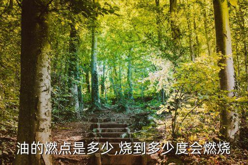 油的燃点是多少,烧到多少度会燃烧