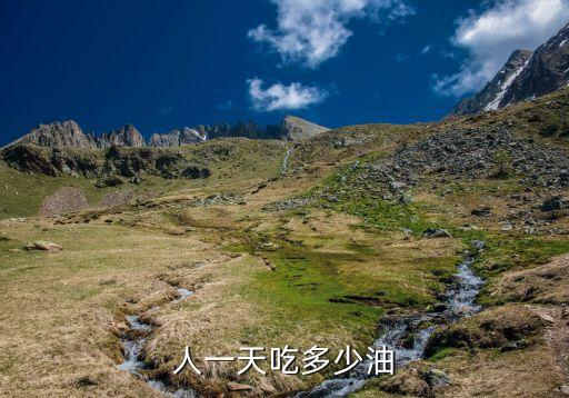 减肥食用油放多少合适