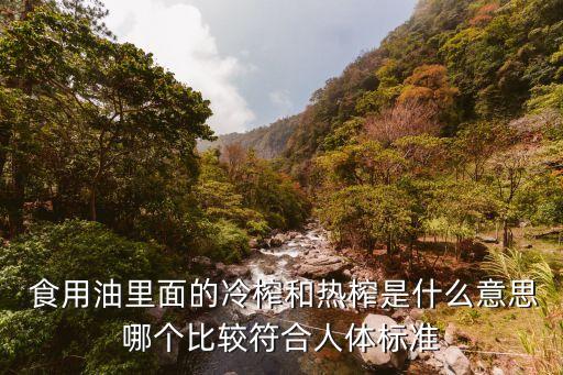  食用油里面的冷榨和热榨是什么意思哪个比较符合人体标准