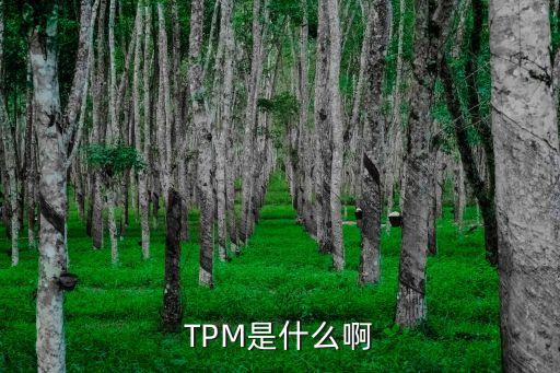 TPM是什么啊
