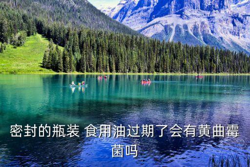 密封的瓶装 食用油过期了会有黄曲霉菌吗