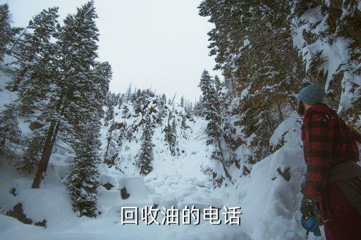 回收油的电话