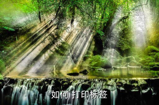 如何 打印标签