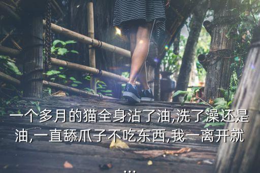猫喜欢舔食用油为什么,为什么猫喜欢吃食用油
