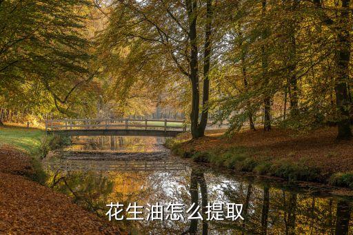 花生油怎么提取