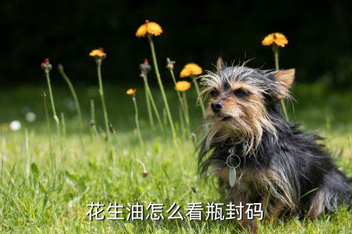 食用油的生产批号是多少,散装食用油需不需要国家生产许可批号