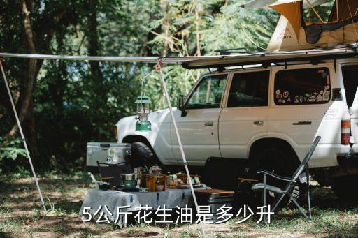 5公斤花生油是多少升