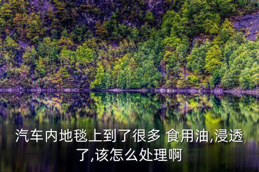 汽车内地毯上到了很多 食用油,浸透了,该怎么处理啊
