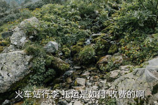  火车站行李 托运是如何 收费的啊