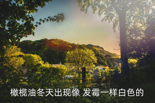 橄榄油冬天出现像 发霉一样白色的