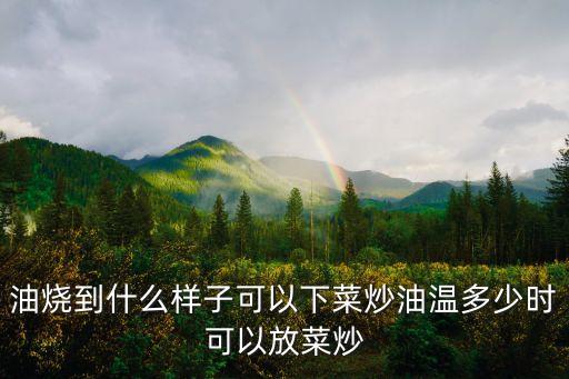 油烧到什么样子可以下菜炒油温多少时可以放菜炒
