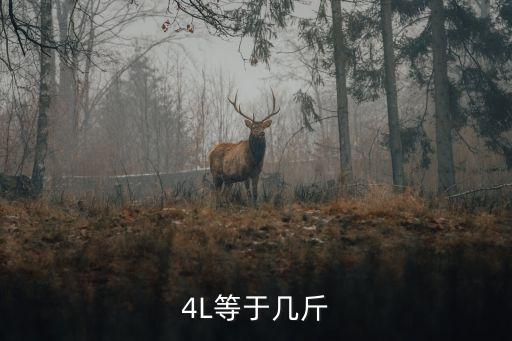 食用油4升是多少,3.68升食用油是多少斤