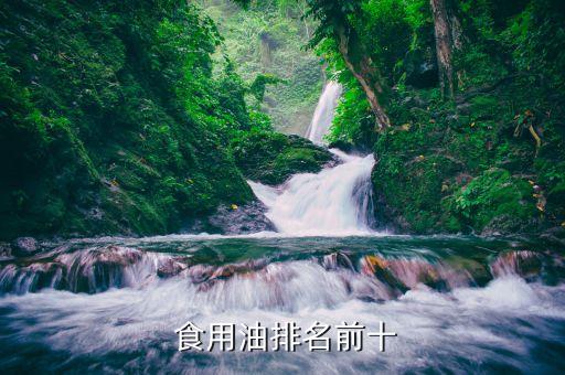  食用油排名前十