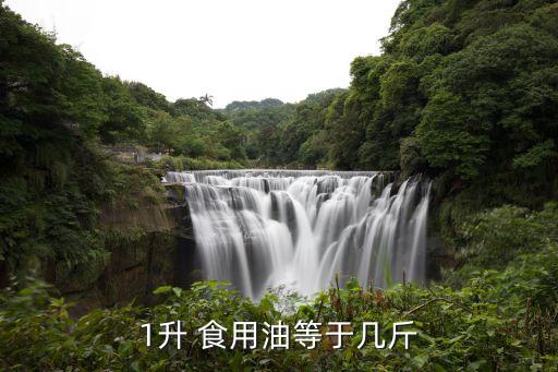1升 食用油等于几斤