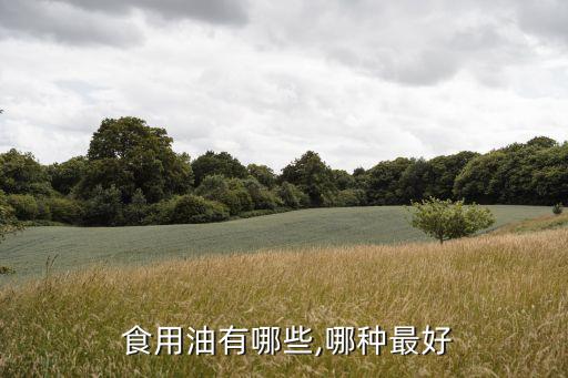  食用油有哪些,哪种最好