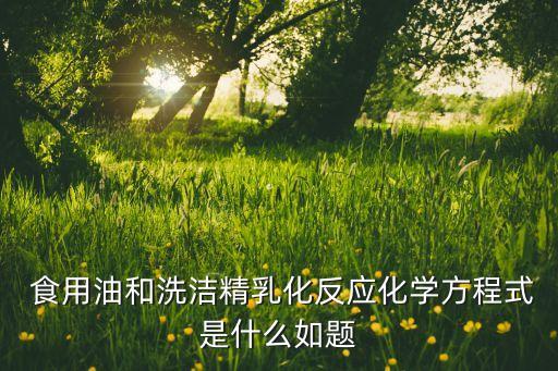 食用油怎么做成水白色液体,假食用油怎么做成的