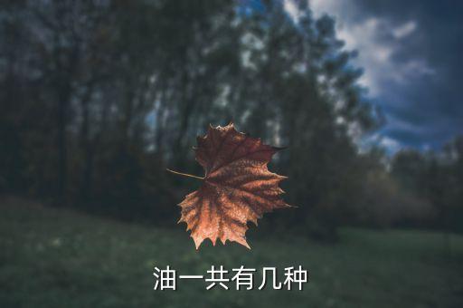 油一共有几种