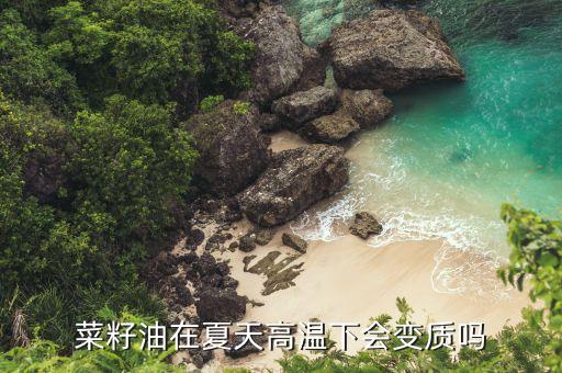 菜籽油在夏天高温下会变质吗