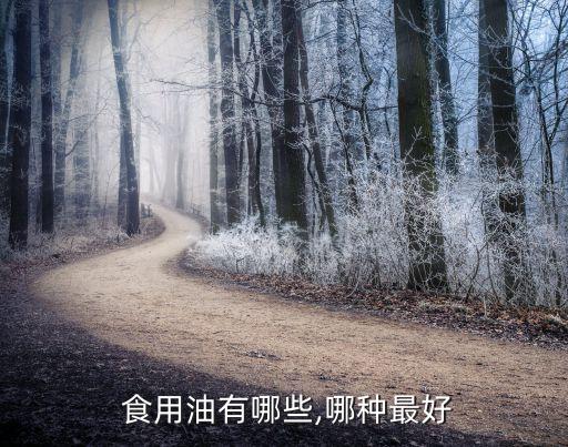  食用油有哪些,哪种最好
