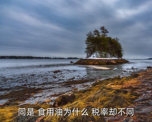 食用油得适用税率是多少