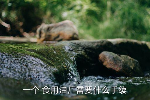 一个 食用油厂需要什么手续