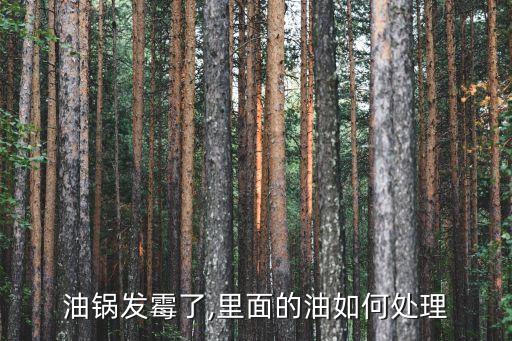 变质的食用油怎么处理,食用油时间长了怎么处理