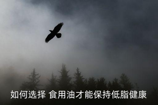 如何选择 食用油才能保持低脂健康