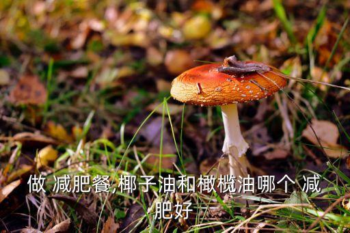 做 减肥餐,椰子油和橄榄油哪个 减肥好
