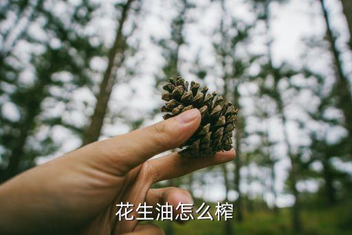 花生油怎么榨