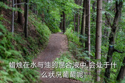 食用油可以做什么蜡烛,变质的食用油能做什么?