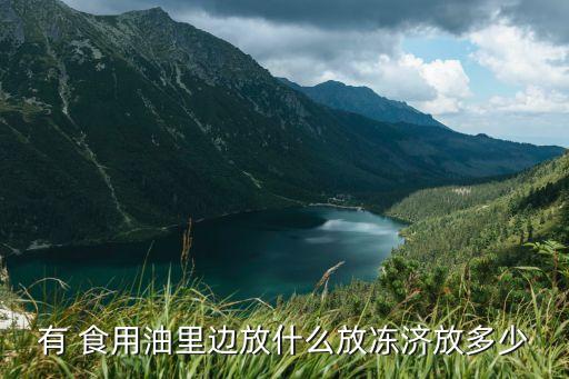 有 食用油里边放什么放冻济放多少