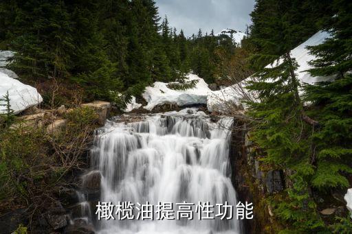 橄榄油提高性功能