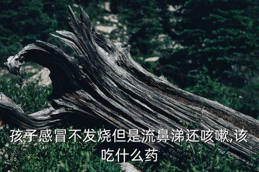 孩子感冒不发烧但是流鼻涕还咳嗽,该吃什么药