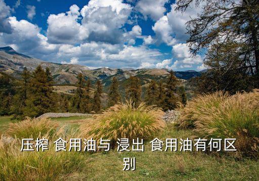 压榨 食用油与 浸出 食用油有何区别