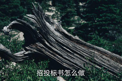 招投标书怎么做