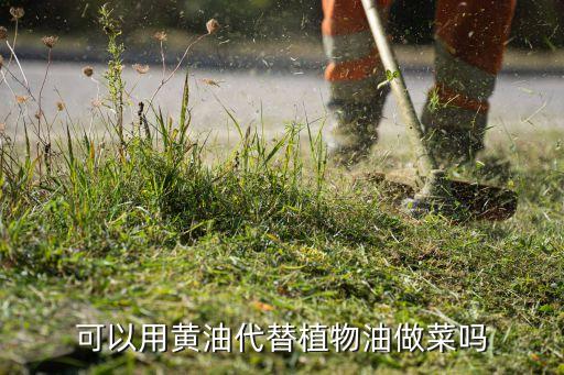 可以用黄油代替植物油做菜吗