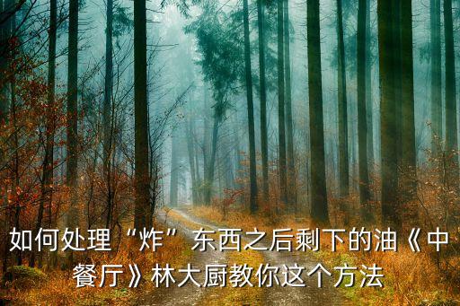 如何处理“炸”东西之后剩下的油《中餐厅》林大厨教你这个方法