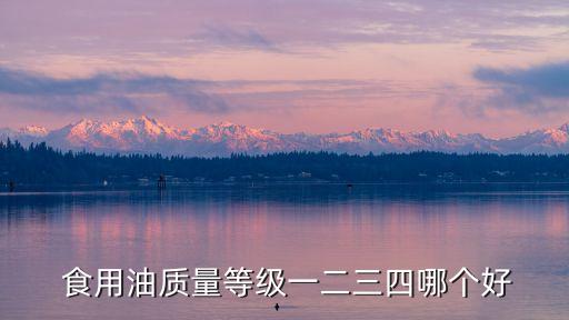  食用油质量等级一二三四哪个好