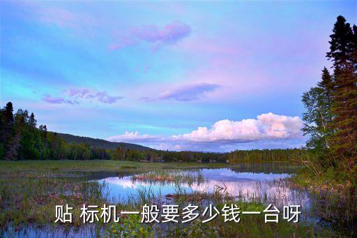贴 标机一般要多少钱一台呀