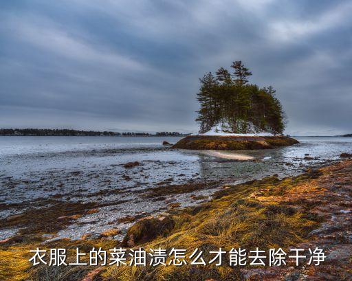  衣服上的菜油渍怎么才能去除干净