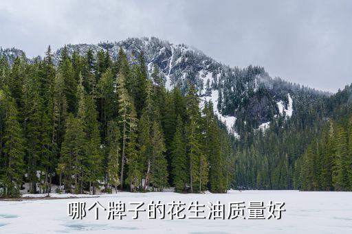 哪个牌子的花生油质量好