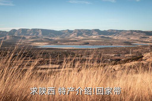 求陕西 特产介绍!回家带