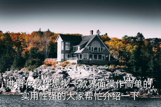 进销存软件想找一款界面操作简单的,实用性强的大家帮忙介绍一下