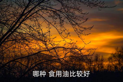 哪种 食用油比较好