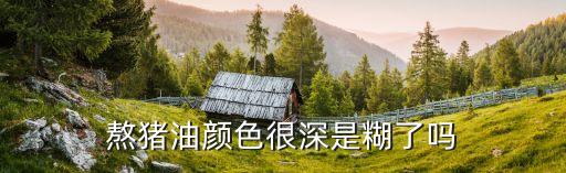 熬猪油颜色很深是糊了吗