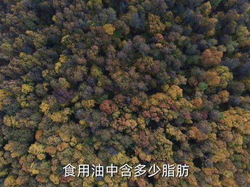  食用油中含多少脂肪