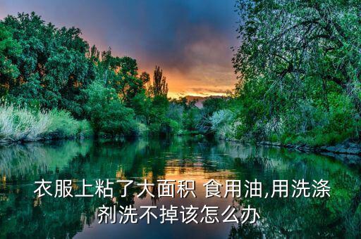  衣服上粘了大面积 食用油,用洗涤剂洗不掉该怎么办