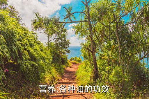 营养:各种油的功效