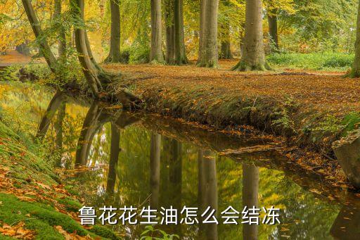 食用油为什么容易冻住,容易冻住的食用油好不好
