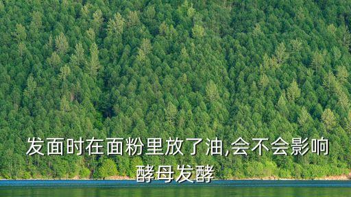  发面时在面粉里放了油,会不会影响酵母发酵